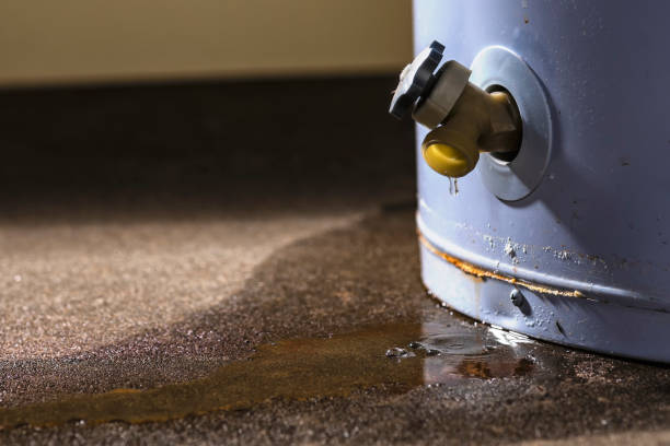  Perris, CA Water damage restoration Pros