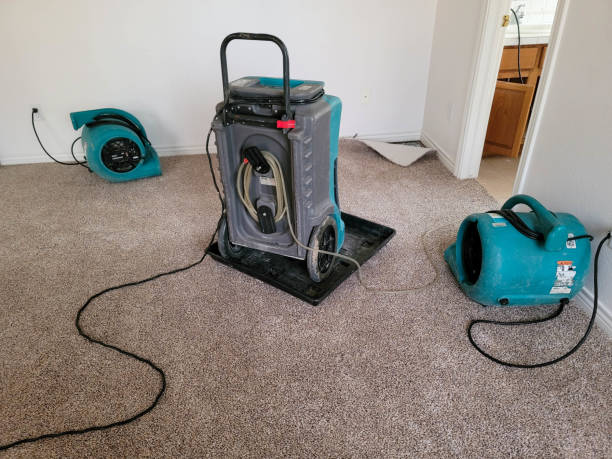 Best Local water damage restoration  in Perris, CA