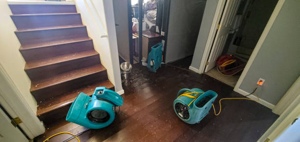 Best Water damage contractors near me  in Perris, CA