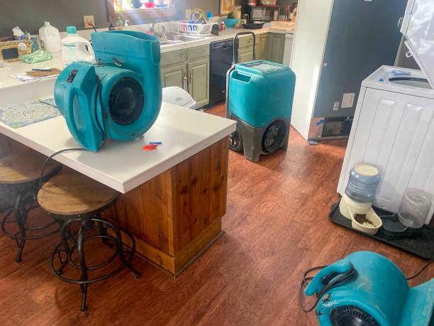 Best Water damage cleanup near me  in Perris, CA