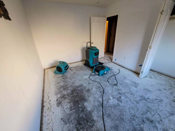 Best Sewage cleanup and water damage restoration  in Perris, CA
