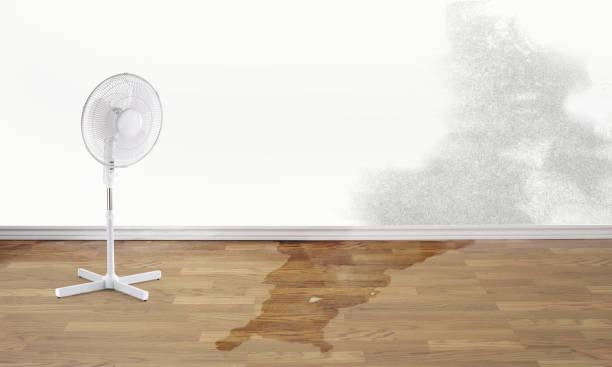 Perris, CA Water damage restoration Company