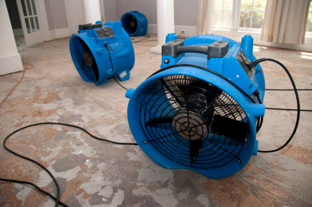 Best Residential water damage restoration  in Perris, CA