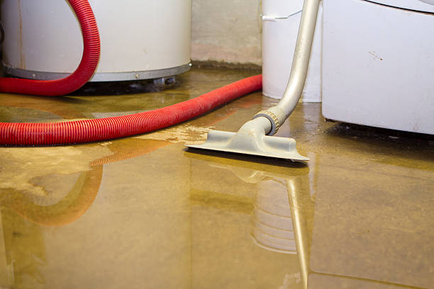 Best Mold removal after water damage  in Perris, CA